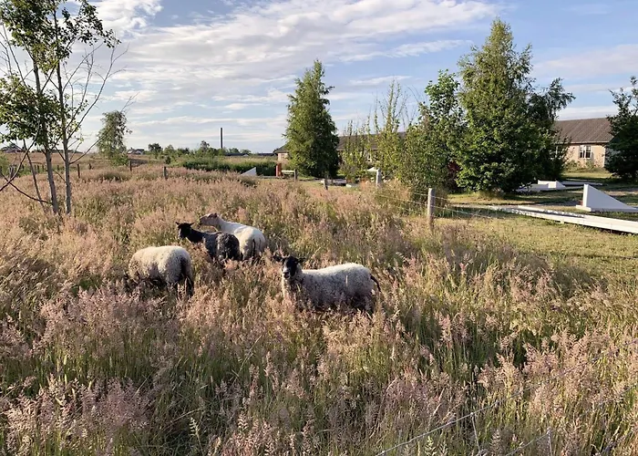 Feriehus 4 Person Holiday In R Nne *